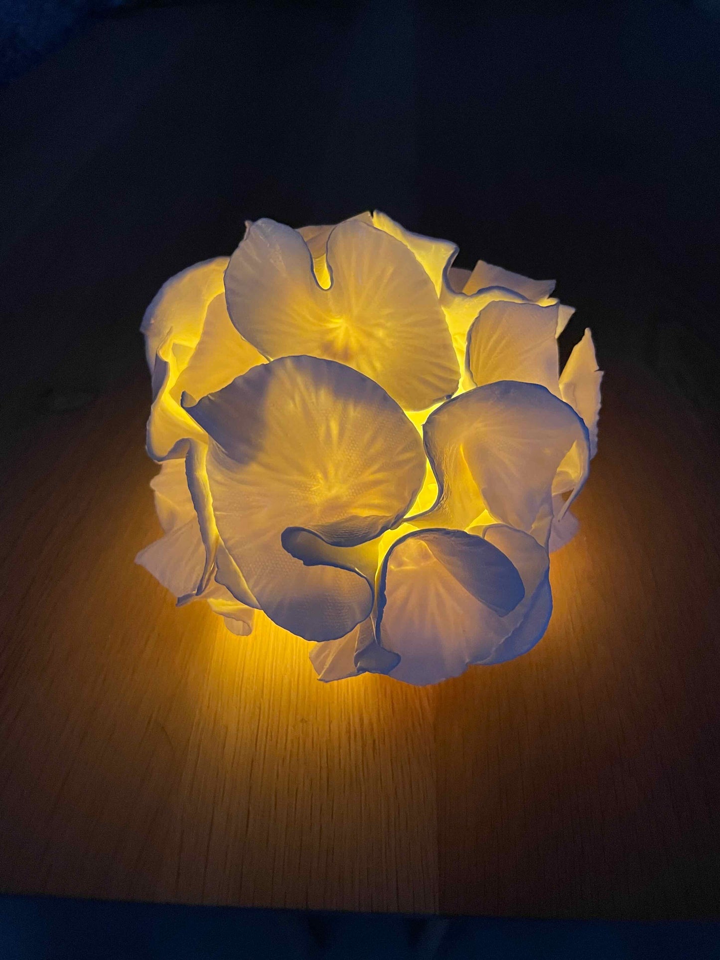 Sculpture lumineuse Anthéa 1