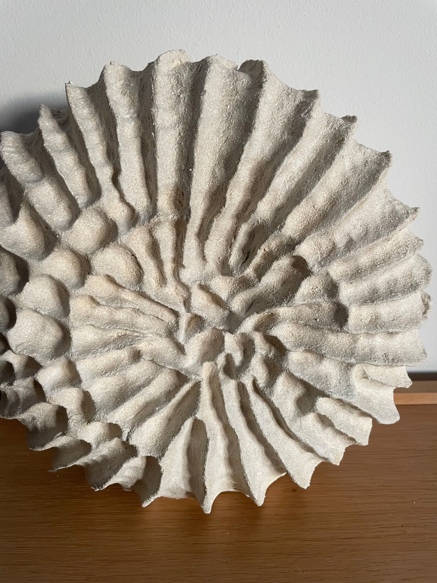 Sculpture Fossilis 2