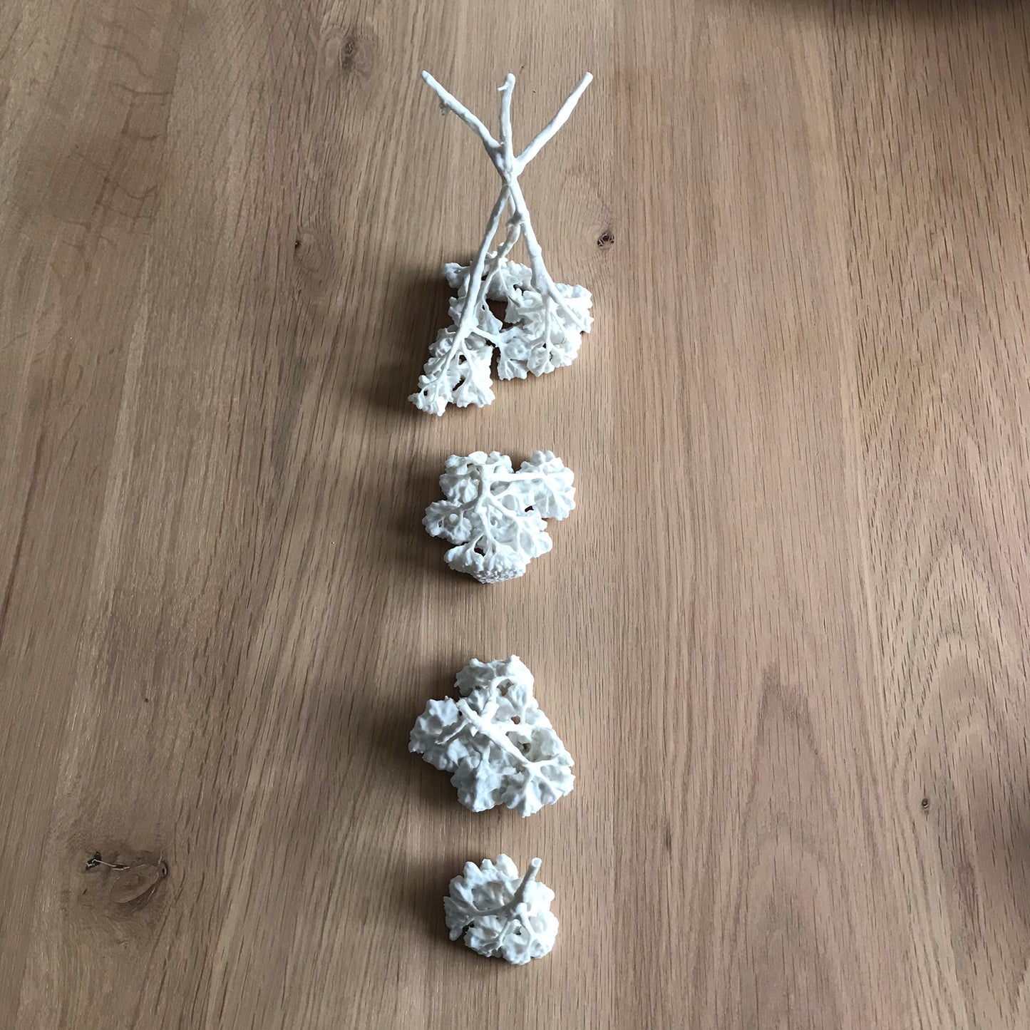 Décorations Végétalia