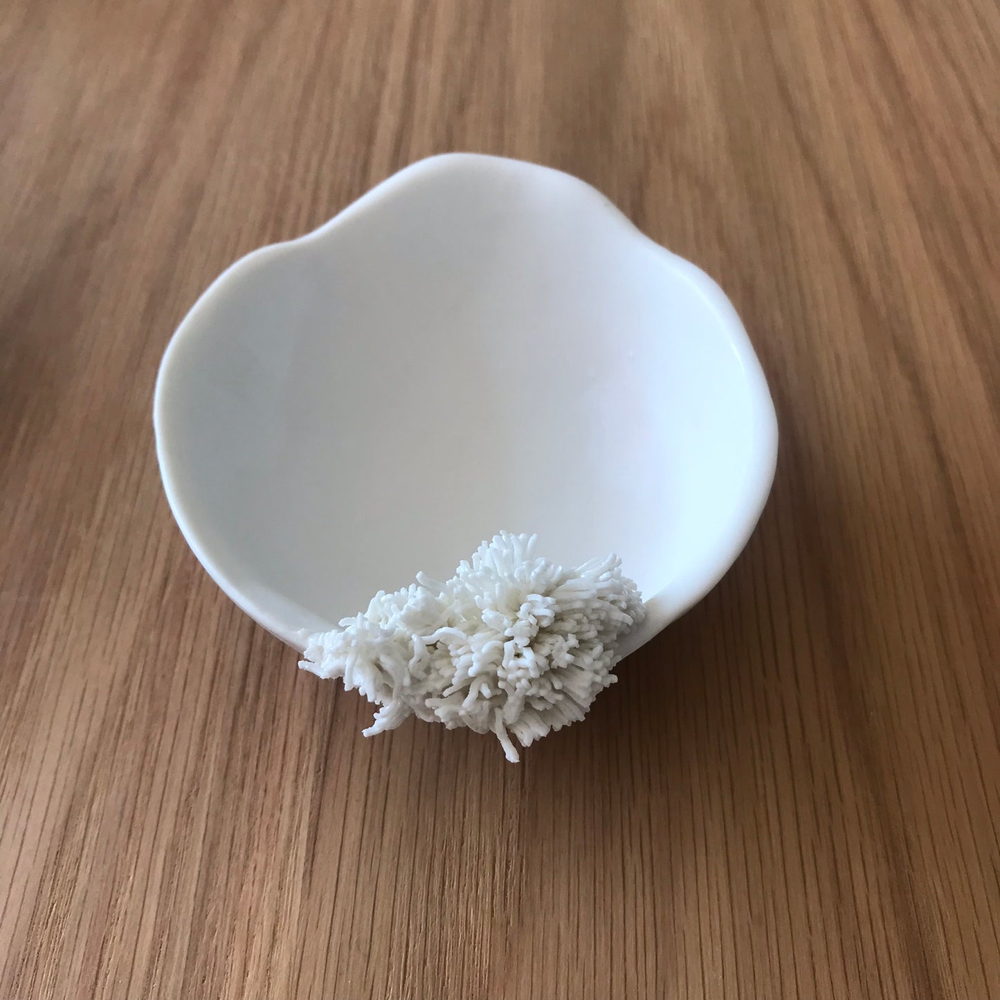 Petite Coupelle Corail