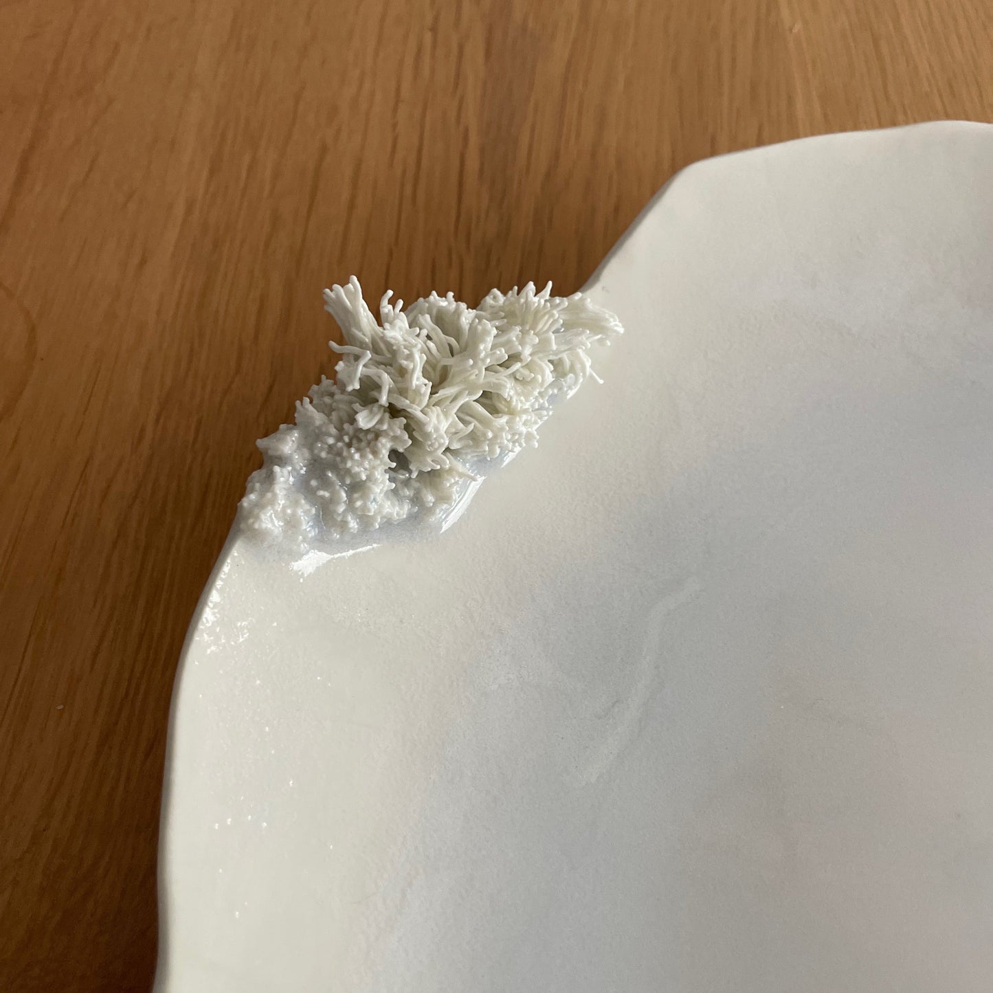 Grand plat Corail