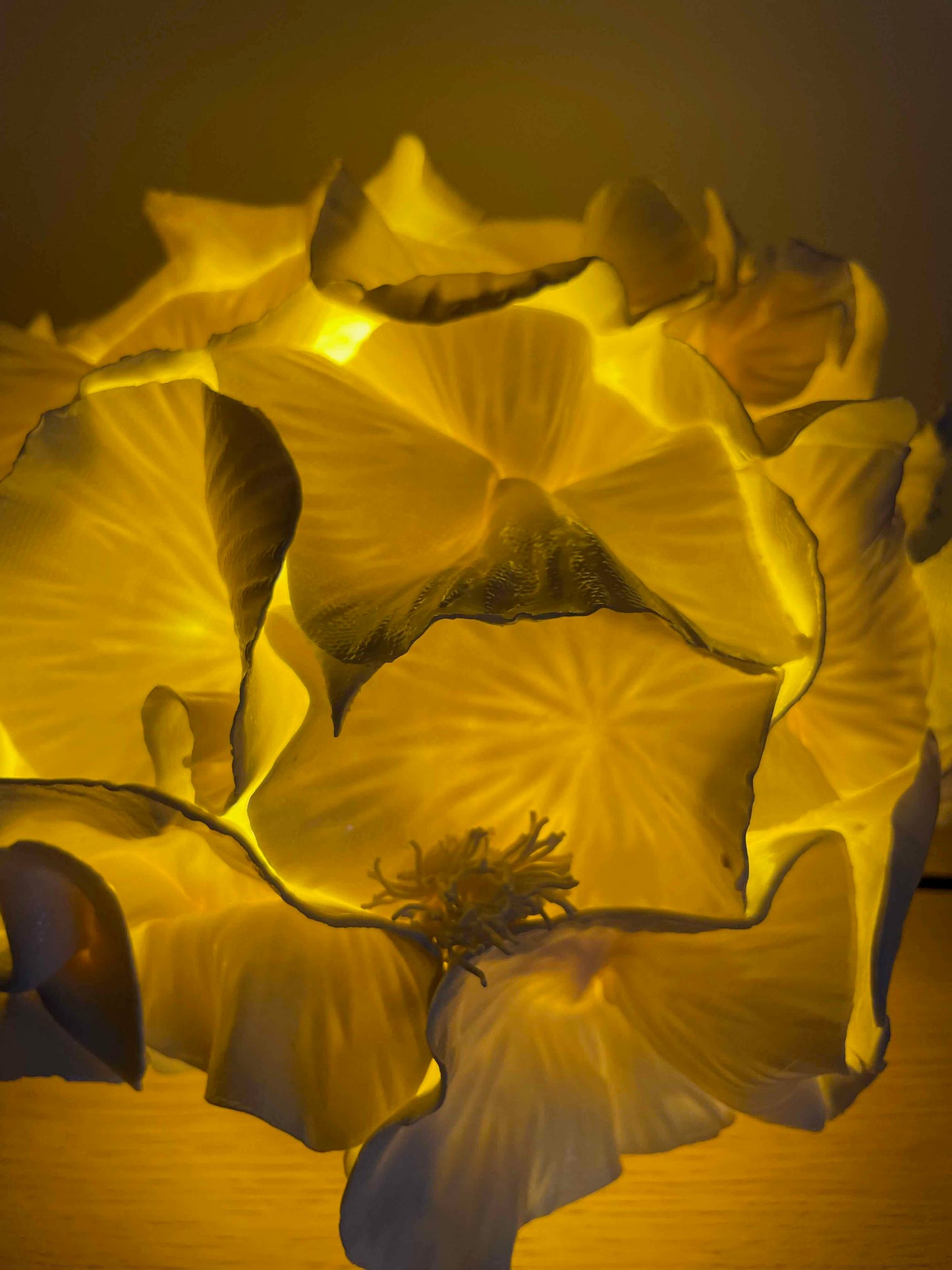Sculpture Lampe Anthéa 4