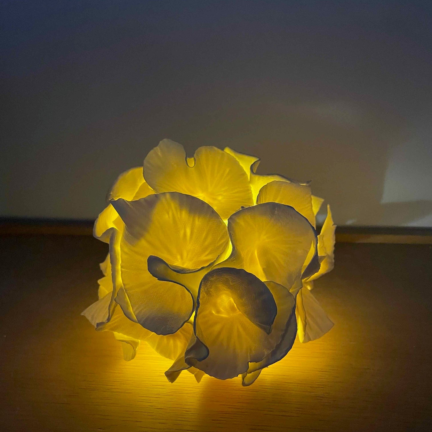 Sculpture lumineuse Anthéa 1