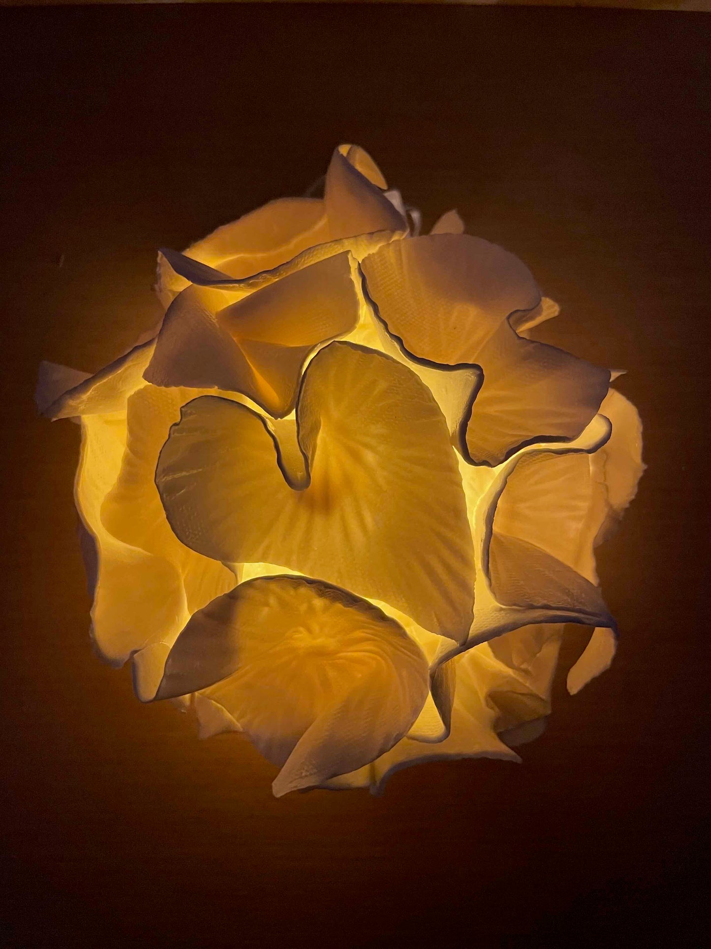 Sculpture lumineuse Anthéa 1