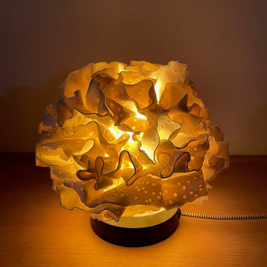 Sculpture Lampe Coralia 1