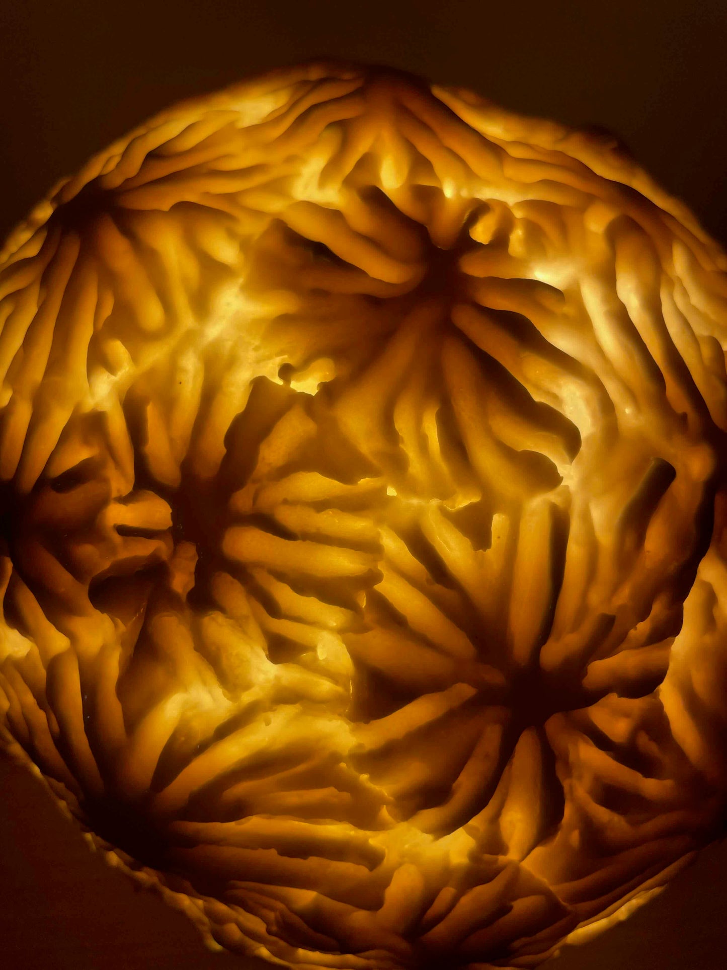 Sculpture Lampe Coralia 3