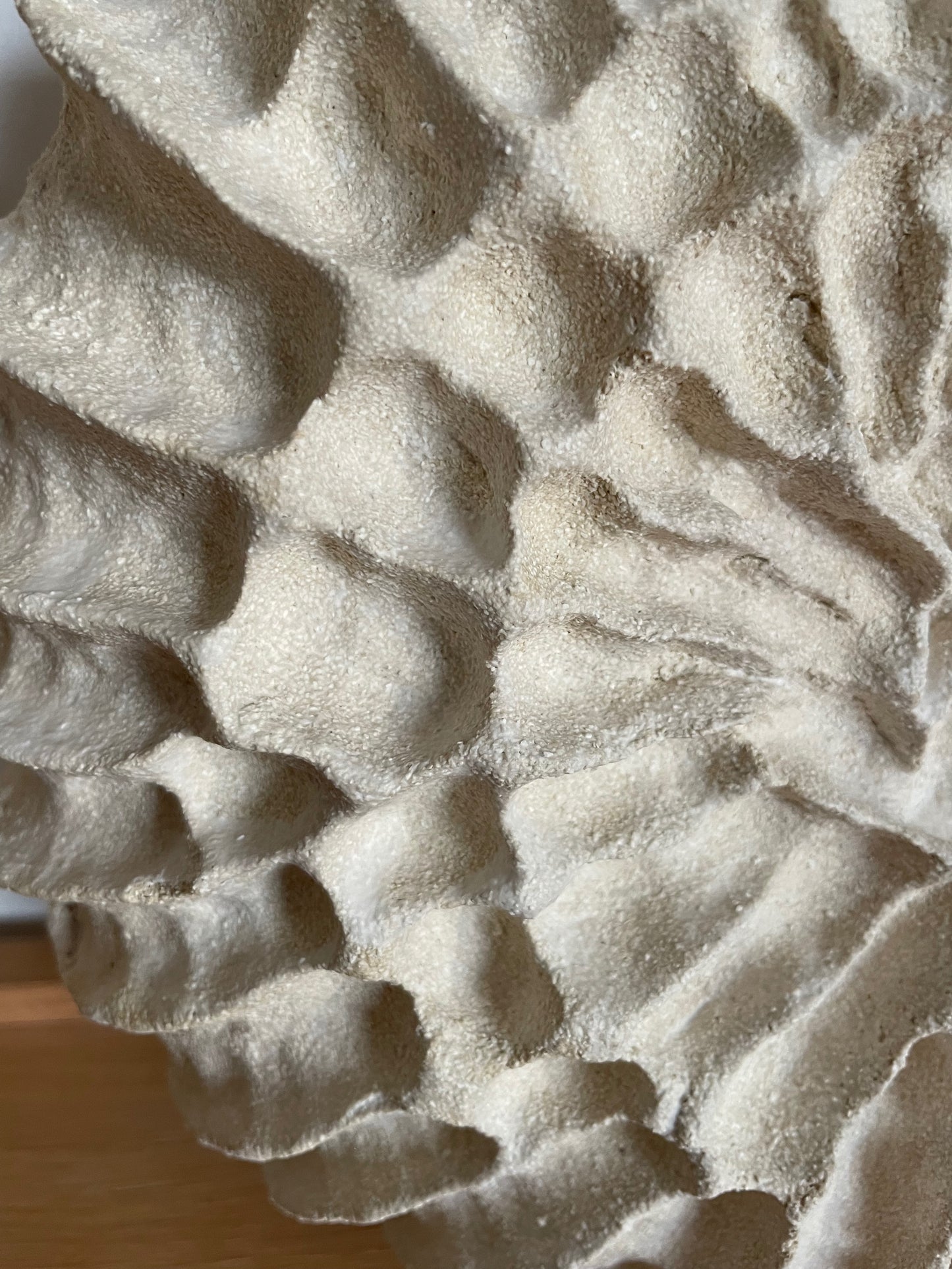 Sculpture Fossilis 2