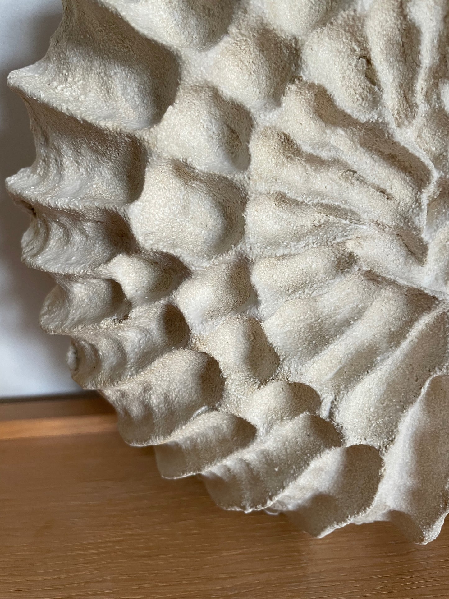 Sculpture Fossilis 2