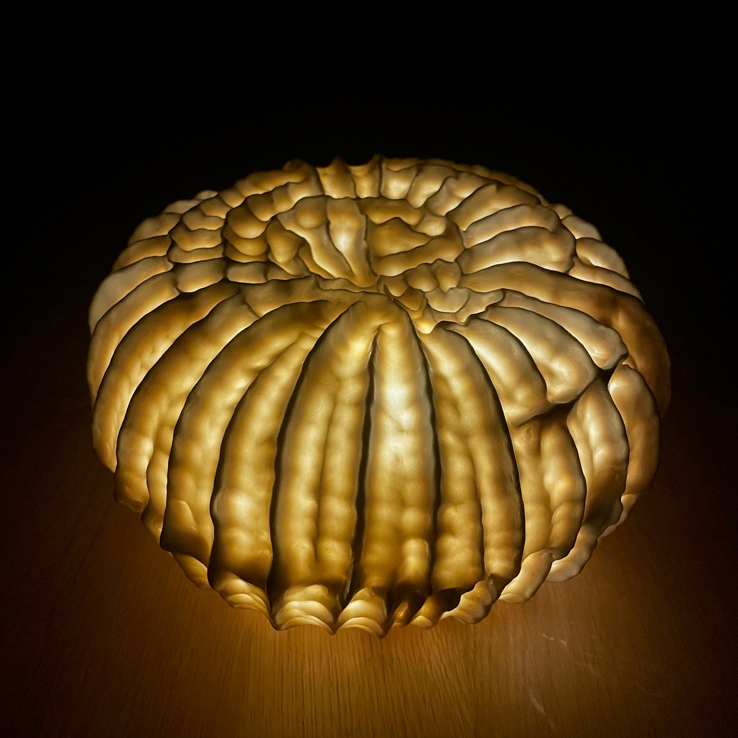 Sculpture lumineuse Fossilis