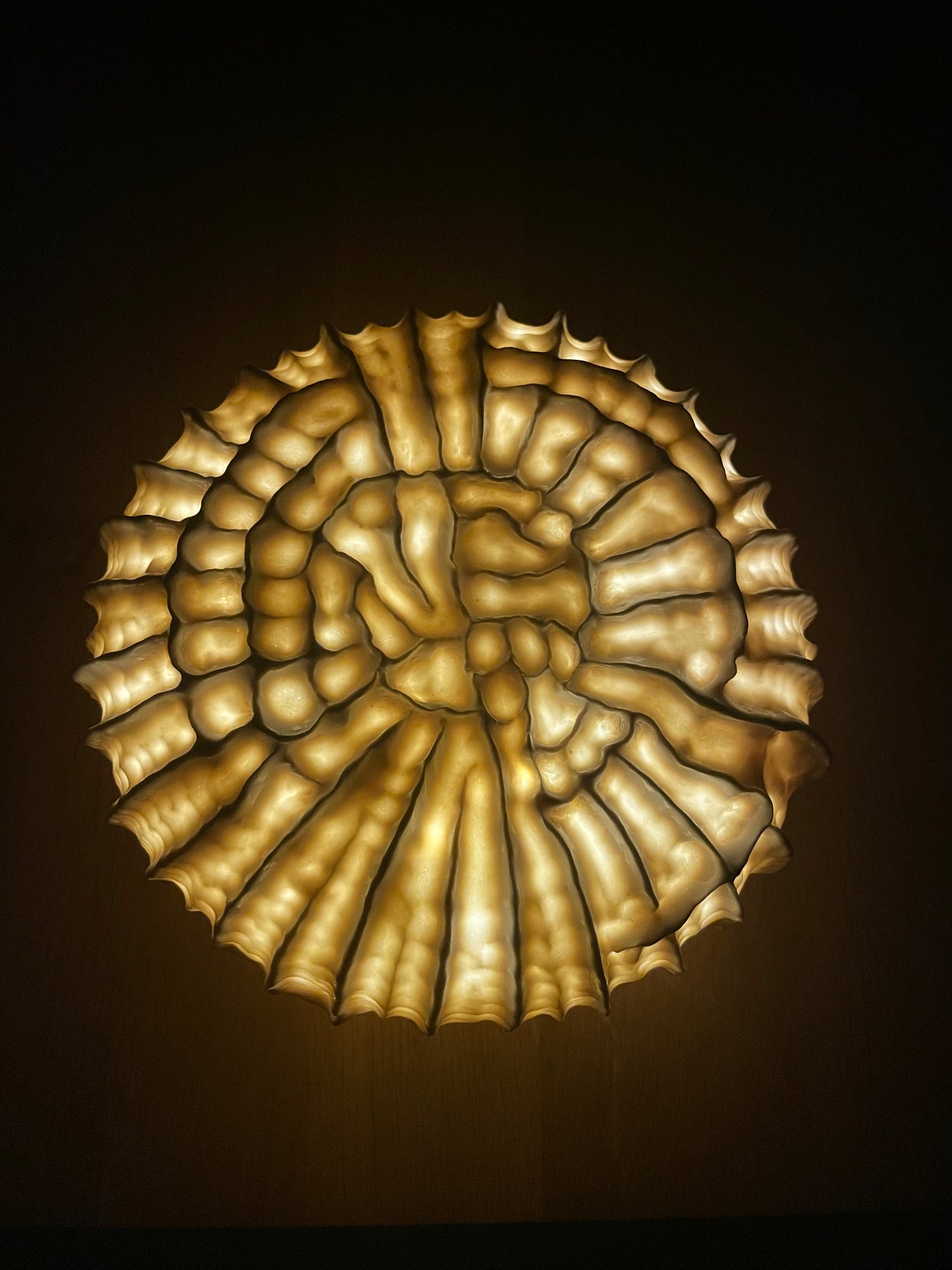 Sculpture lumineuse Fossilis