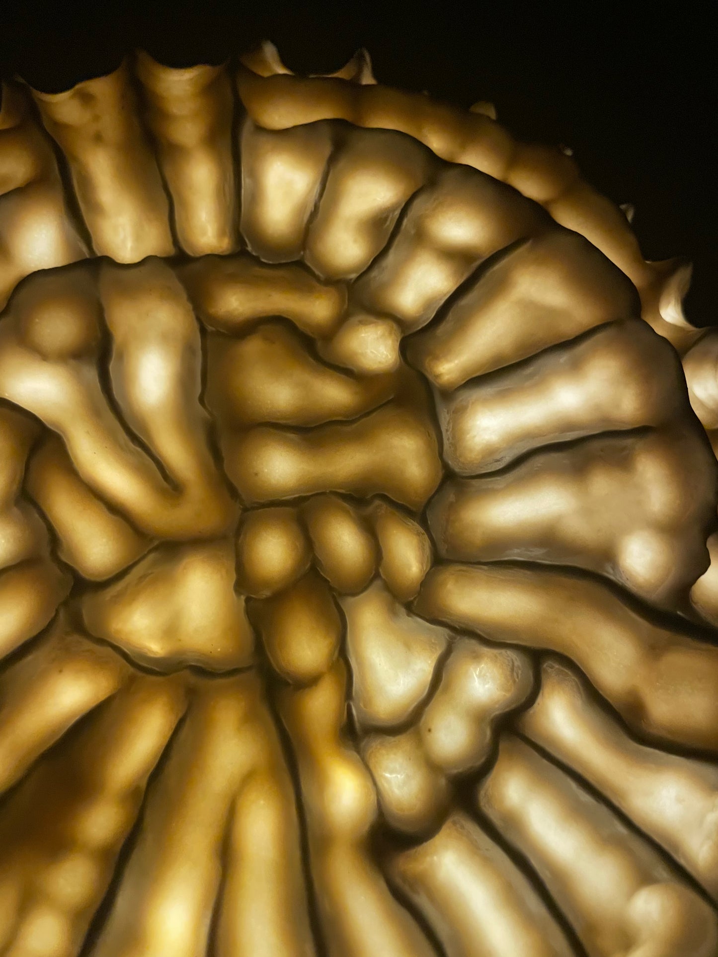 Sculpture lumineuse Fossilis