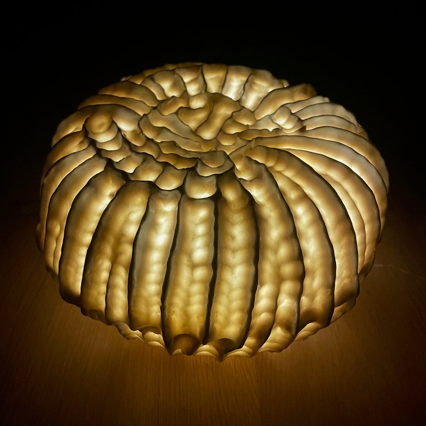 Sculpture lumineuse Fossilis