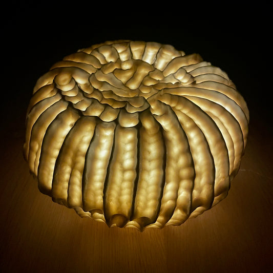 Sculpture lumineuse Fossilis