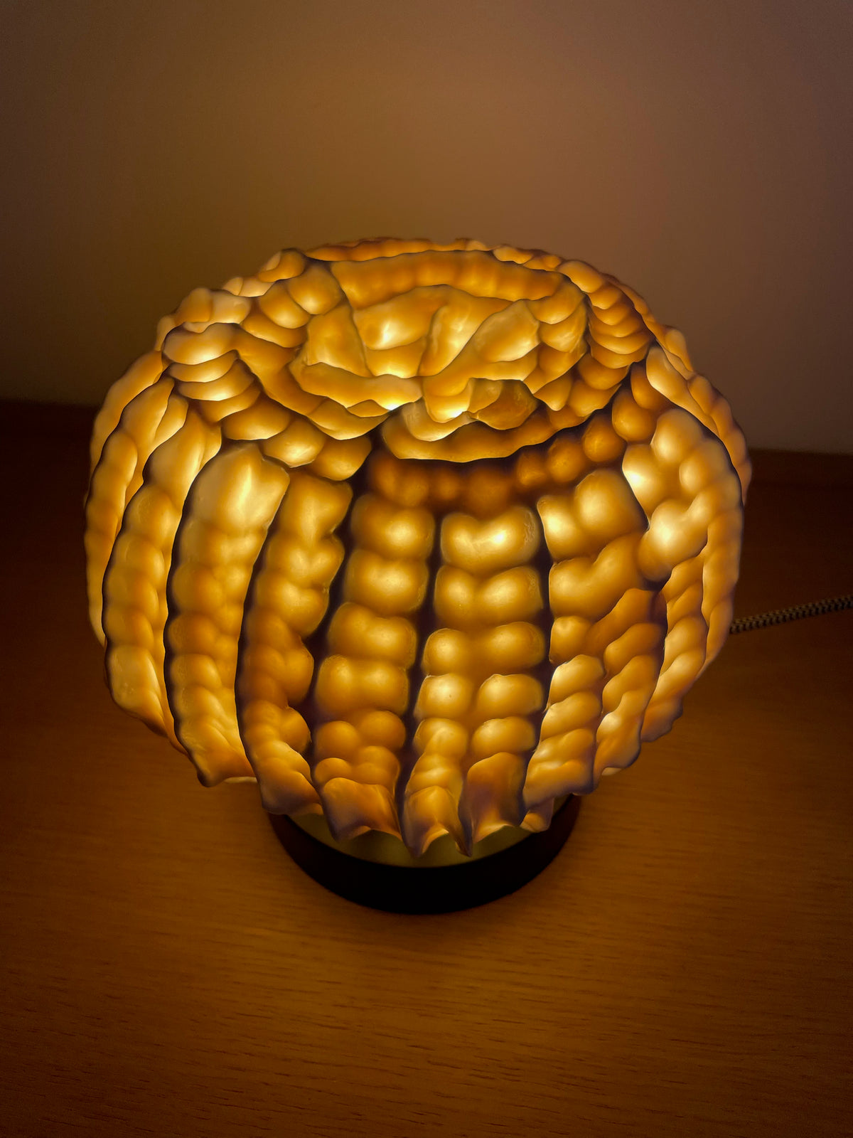 Sculpture lampe Fossilis