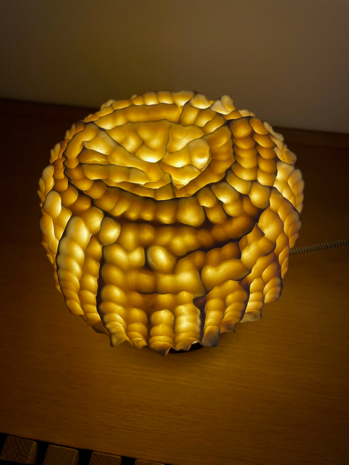 Sculpture lampe Fossilis