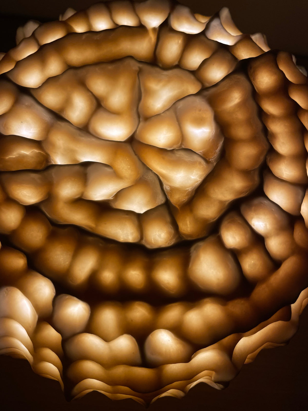Sculpture lampe Fossilis