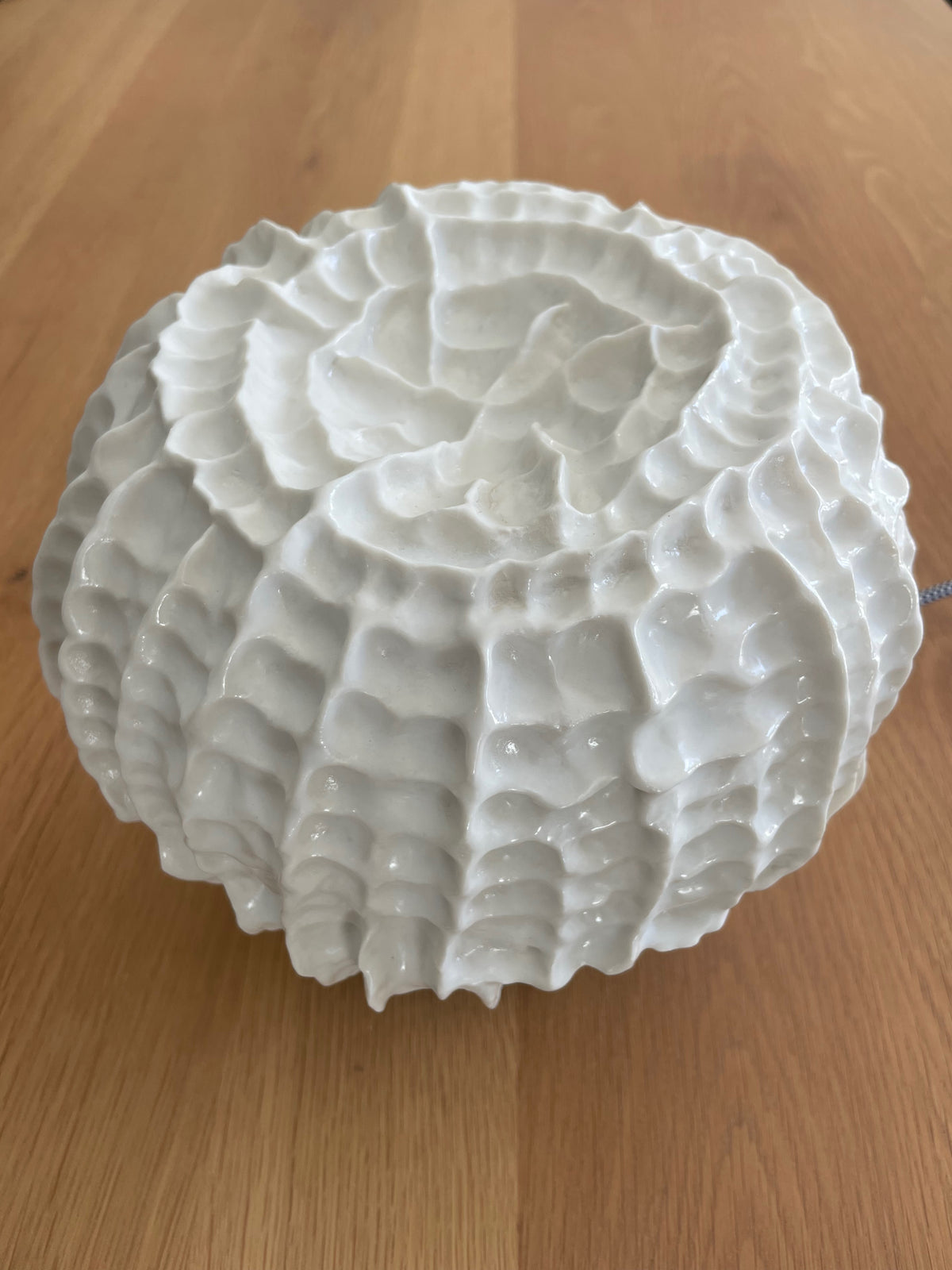 Sculpture lampe Fossilis