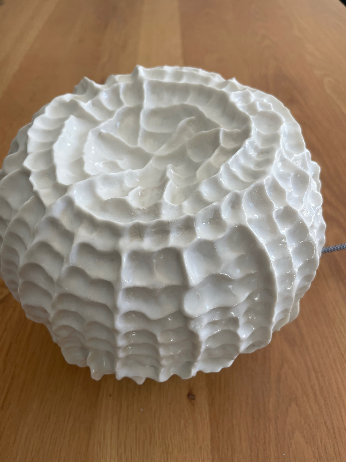 Sculpture lampe Fossilis