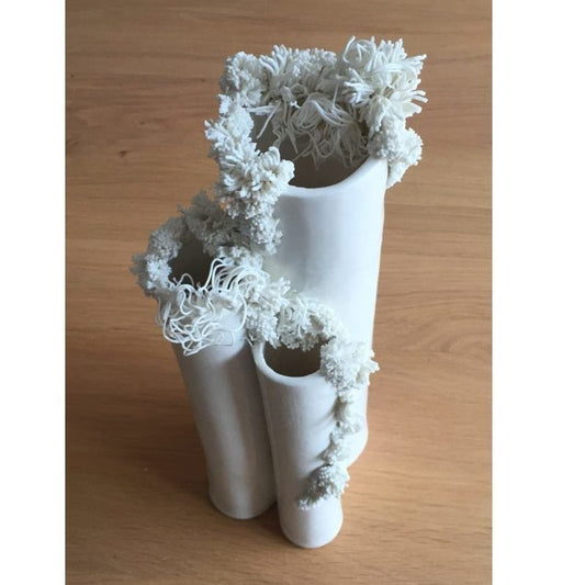 Vase corail envahissant